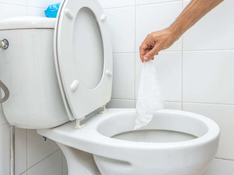 flushable wipe over toilet